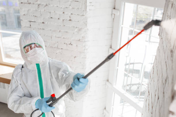 Best Biohazard Mold Removal  in Ly Lake, IL