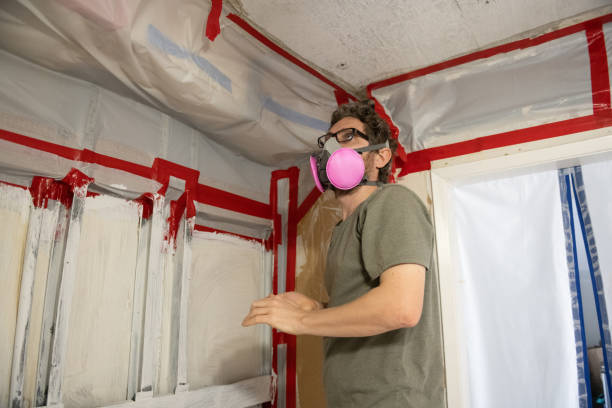 Mold Removal for HVAC Installations in Lily Lake, IL